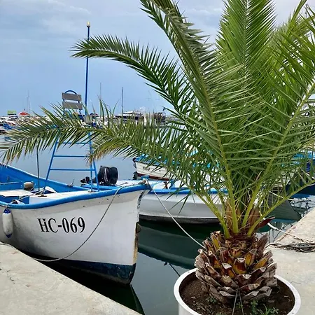 Sun Wave Near The Sea Apartment *