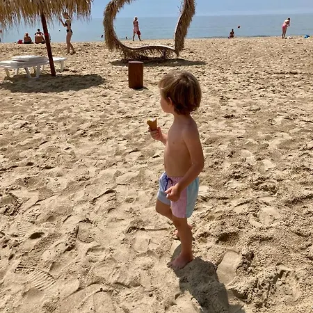 Sun Wave Near The Sea