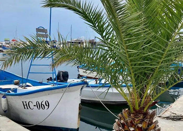 Sun Wave Near The Sea 公寓 *